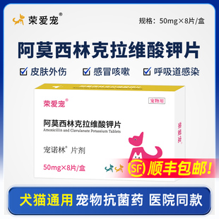阿莫西林克拉维酸钾片宠物猫鼻支猫用狗狗感冒药咳嗽速流鼻涕诺