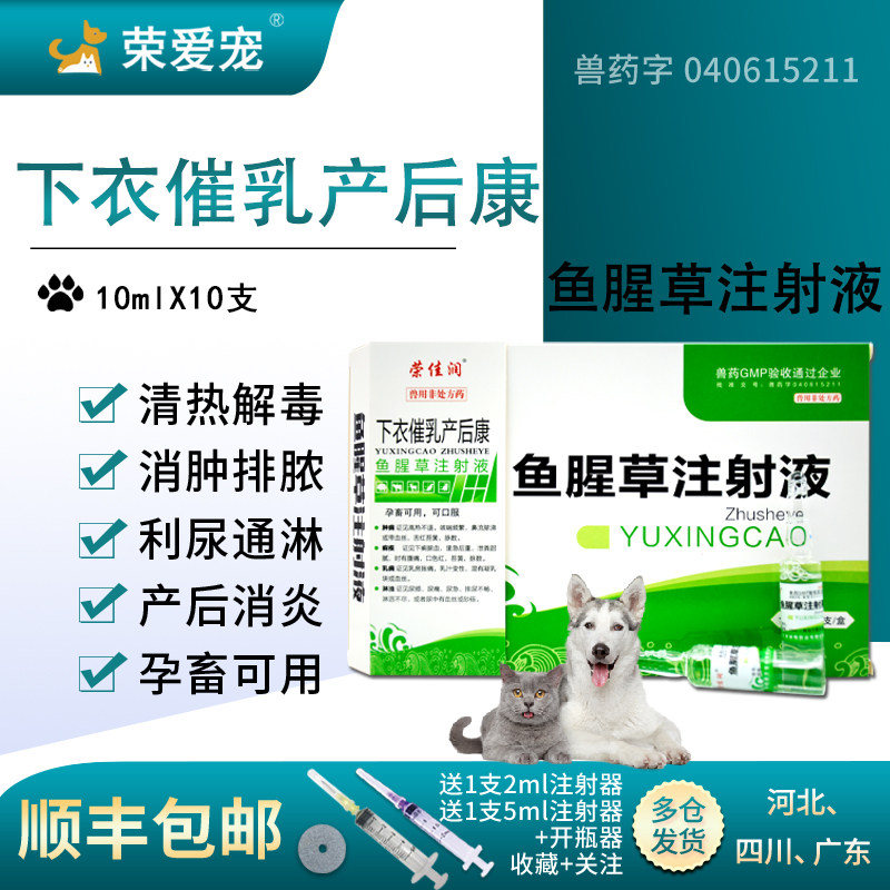 鱼腥草注射兽用牛羊母猪产后康兽药宠物犬用猫咪狗狗产后消炎针剂