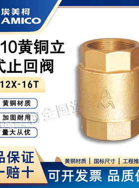 埃美柯410立式止回阀黄铜水表止逆阀4分家用防反水螺纹水边单向阀