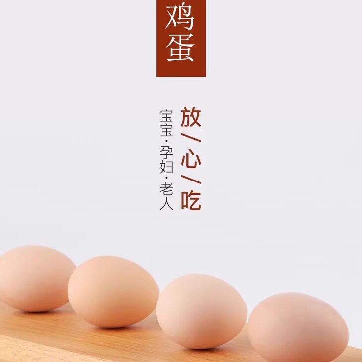 杭州千岛湖五谷土鸡蛋【超值特惠鸡蛋