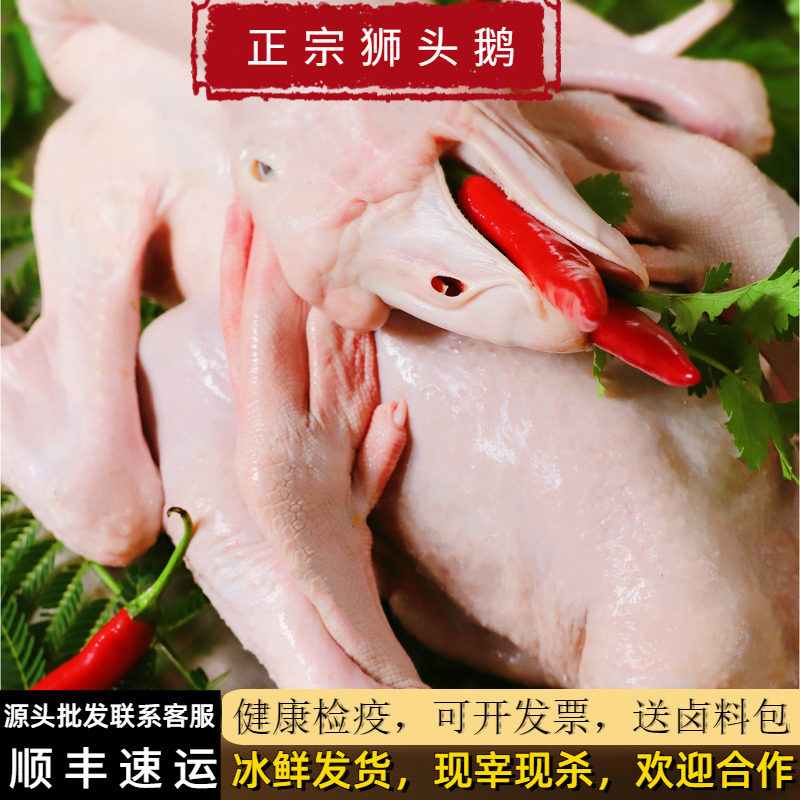 狮头鹅新鲜现杀潮汕特产澄海狮头鹅肉/鹅肉制品