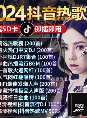 奥迪车载SD卡无损音质抖音经典流行DJ歌曲AQS系专用一体大内存卡