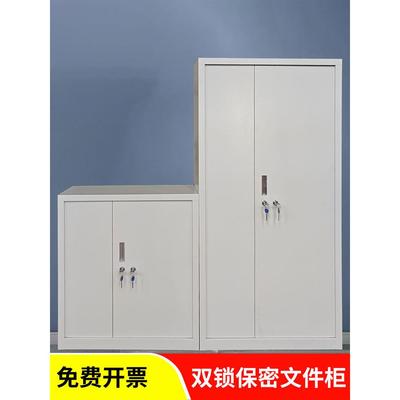 采购产品双锁保险箱柜，试剂柜，药柜，毒麻柜，文件柜，双试纸铁
