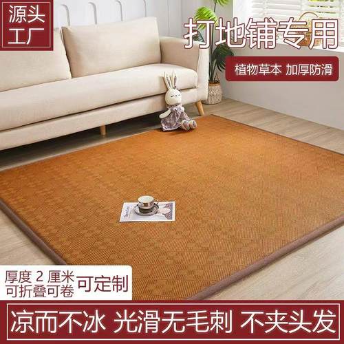 新款冰丝凉席地垫榻榻米床垫大炕垫子打地舖午睡垫家用藤席可定制