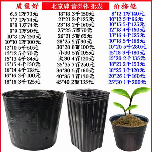 营养钵育苗钵塑料营养杯装土神器种植育苗杯加厚育苗袋一次性花盆