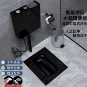 黑色家用蹲便盆卫生间大便器防臭陶瓷蹲厕便池蹲坑蹲便器水箱套装