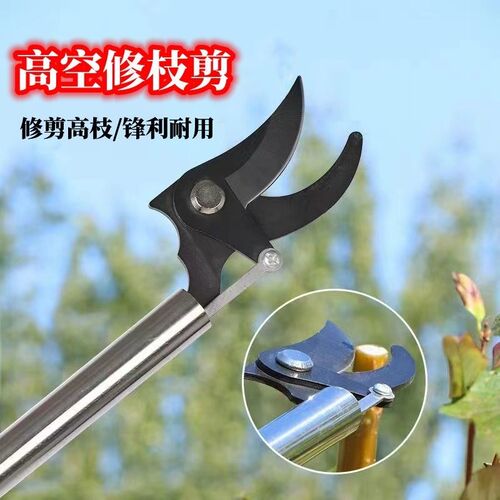高枝剪伸缩高空剪树枝专用剪刀果树果枝剪绿化省力剪果不锈钢剪刀