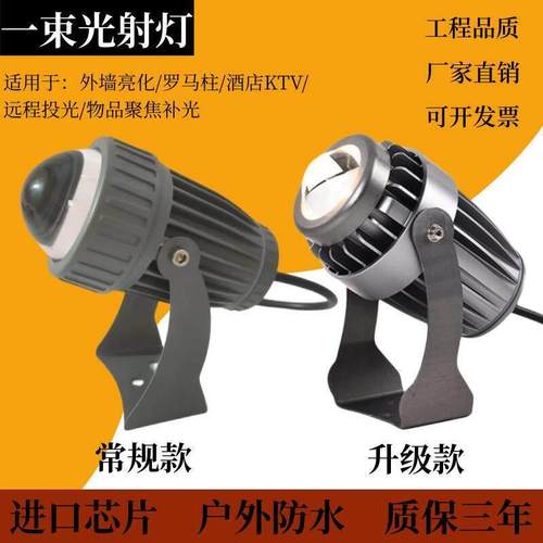 一束光聚光射灯户外防水墙壁灯LED洗墙灯罗马柱别墅亮化光束灯10W
