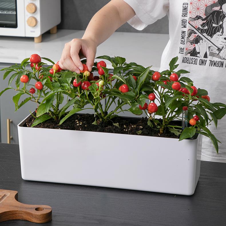 阳台长方形长条花盆家用花箱种植箱种菜专用盆自吸水可悬挂式花盆