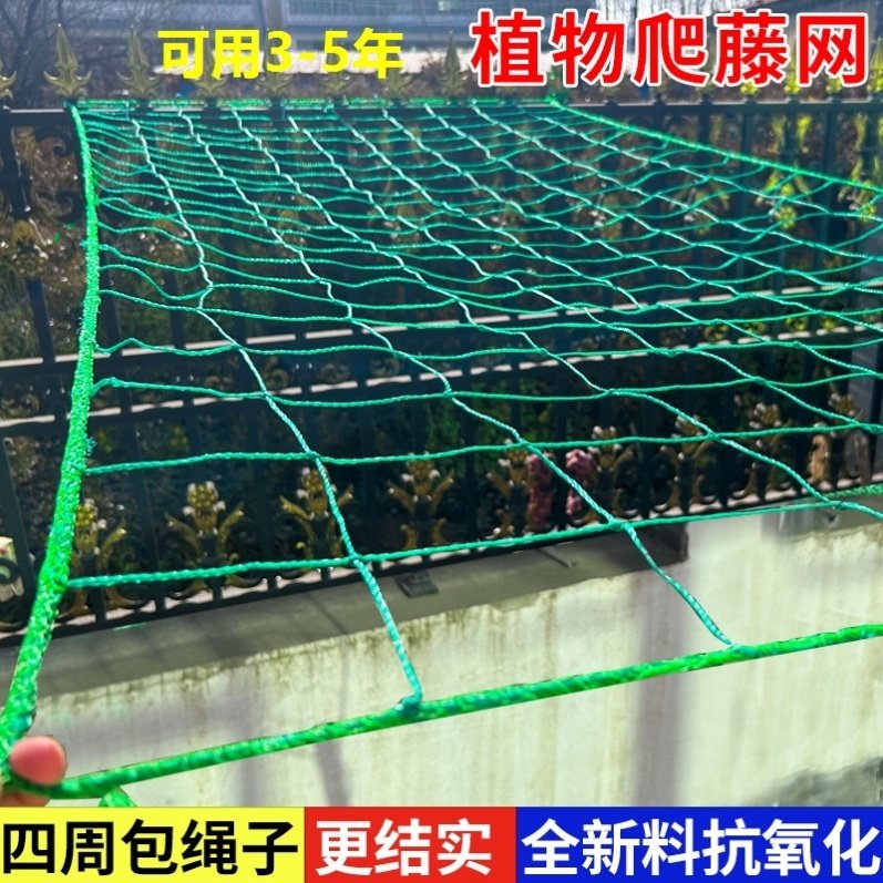月季花墙大孔塑料爬藤网图片