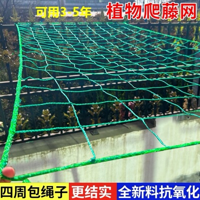 月季花墙大孔塑料爬藤网