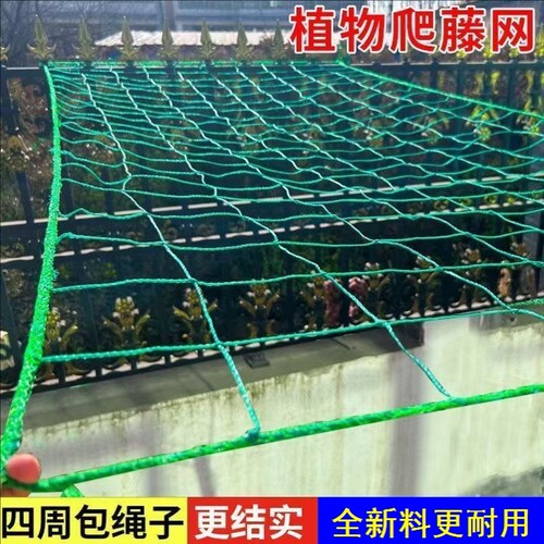 园艺爬藤网支架网家用花架子网室外蔬菜户外庭院黄瓜简易葡萄架网