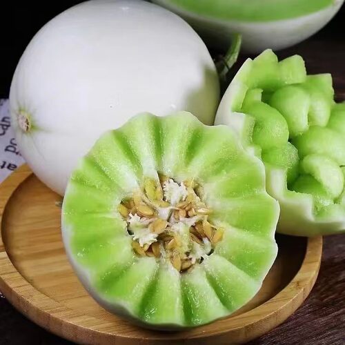 正宗山东冰淇淋玉菇甜瓜香甜多汁当季新鲜水果头茬蜜瓜香瓜现摘