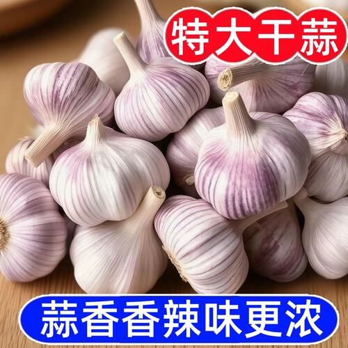 2.7斤金乡大蒜】干蒜大蒜多瓣蒜紫白皮蒜晒够36天蒜香浓郁1-5