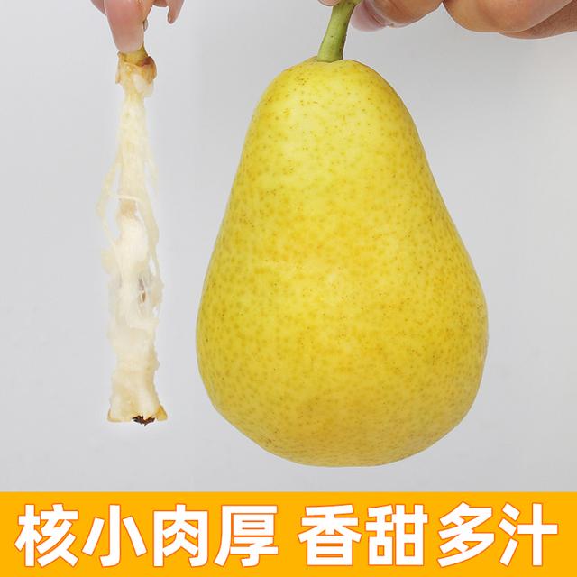山东太婆梨软糯香甜大头梨子新鲜水果香蕉青啤梨3-9斤烟台老婆梨