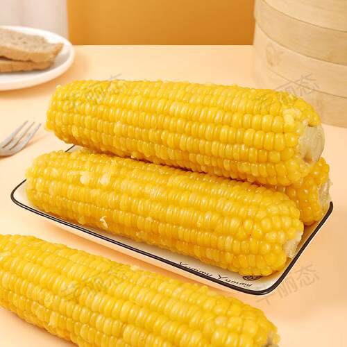 芊丽态（金色铝箔包装）26年新头茬东北黄玉米5.5/6.5斤10支试吃2