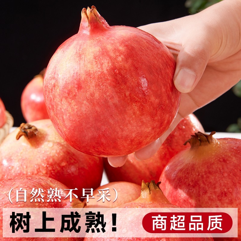 正宗四川突尼斯软籽石榴水果红籽石榴香甜多汁红宝石石榴包邮