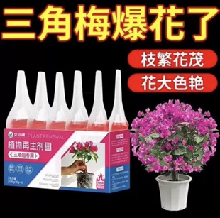 三角梅营养液再生剂盆栽家庭盆栽花卉枝繁叶茂催花促花开花液通用
