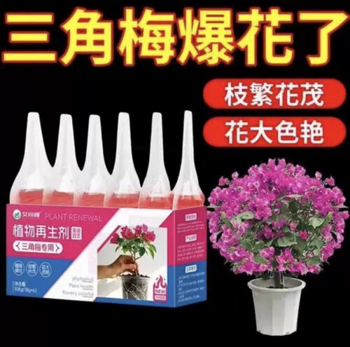 三角梅营养液再生剂盆栽家庭盆栽花卉枝繁叶茂催花促花开花液通用