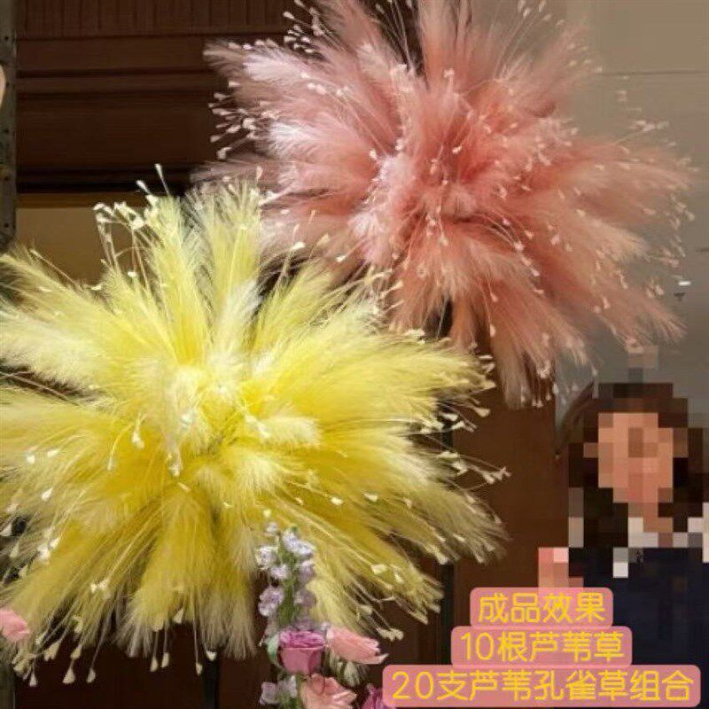 新年装饰品氛围布置仿真烟花墙造景仿真芦苇粉黛孔雀草礼花仿真花