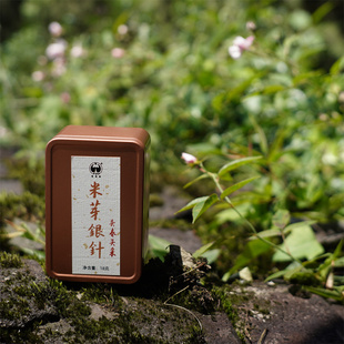 米芽银针头春头采米汤感 2024年白毫银针鸳鸯溪茶业