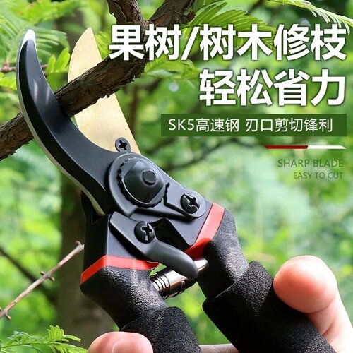 家用园艺修枝剪修剪树枝果树盆景造型水果专用款工具花艺剪刀修花