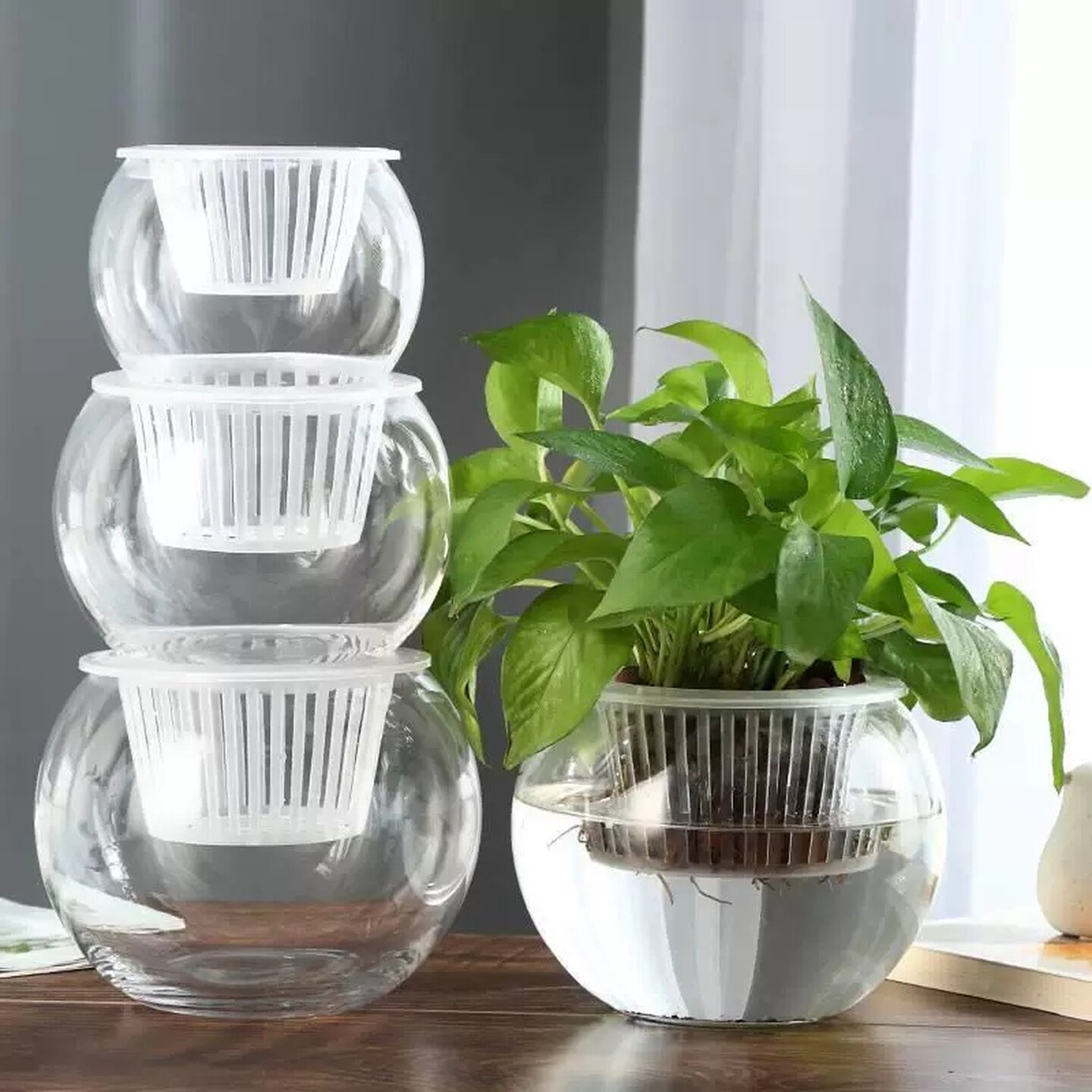 仿玻璃瓶水培植物透明花瓶容器绿萝花盆圆球形鱼缸水养超小号器皿