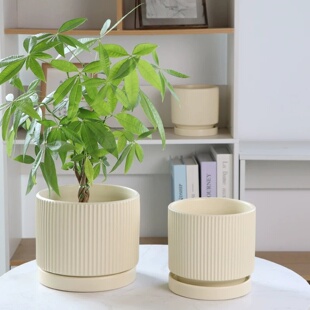 花盆陶瓷蝴蝶兰带托盘家用长寿花专用特大号大口径花卉多肉吊兰盆