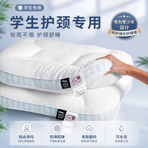 护颈助眠SPA记忆枕芯一对装