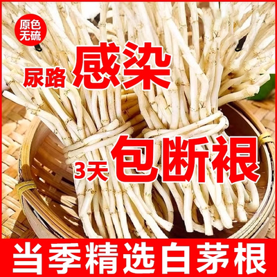 白茅根干中药材非野生尿路感染的茶尿道炎男女尿频不尽小便刺痛茶