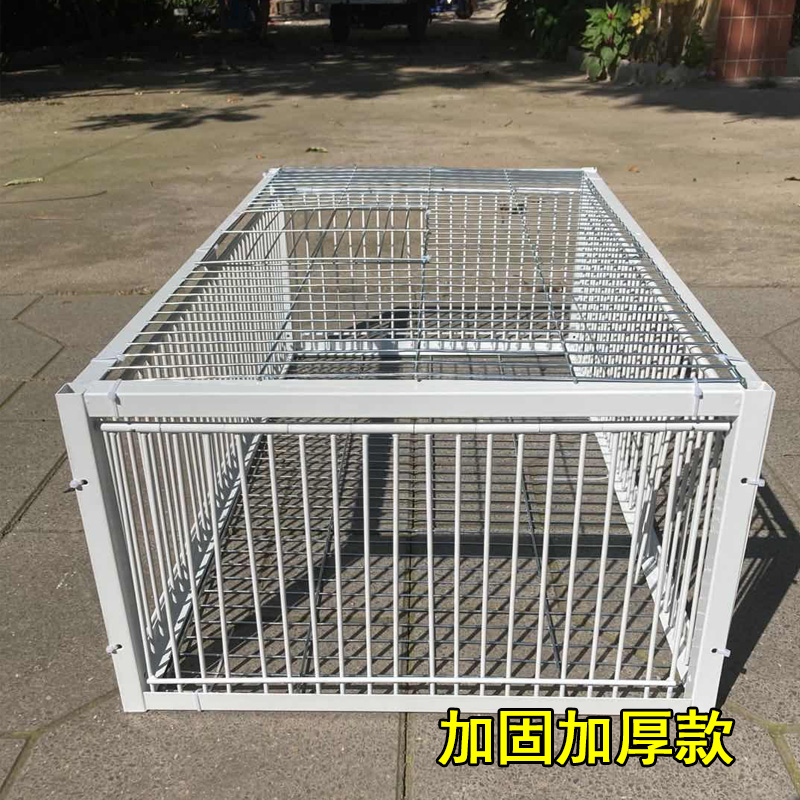 天落笼鸽子笼撞门鸽子活络门笼铁丝笼鸽笼只进不出跳笼撞门自动