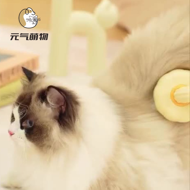 猫梳子去浮毛梳毛刷狗狗毛脱毛撸猫神器清理长毛专用宠物猫咪用品