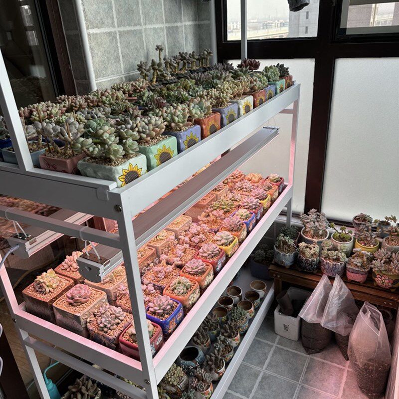 知三月多肉花架可移动阳台落地多层铁艺简约浸盆接水盘自选组合款