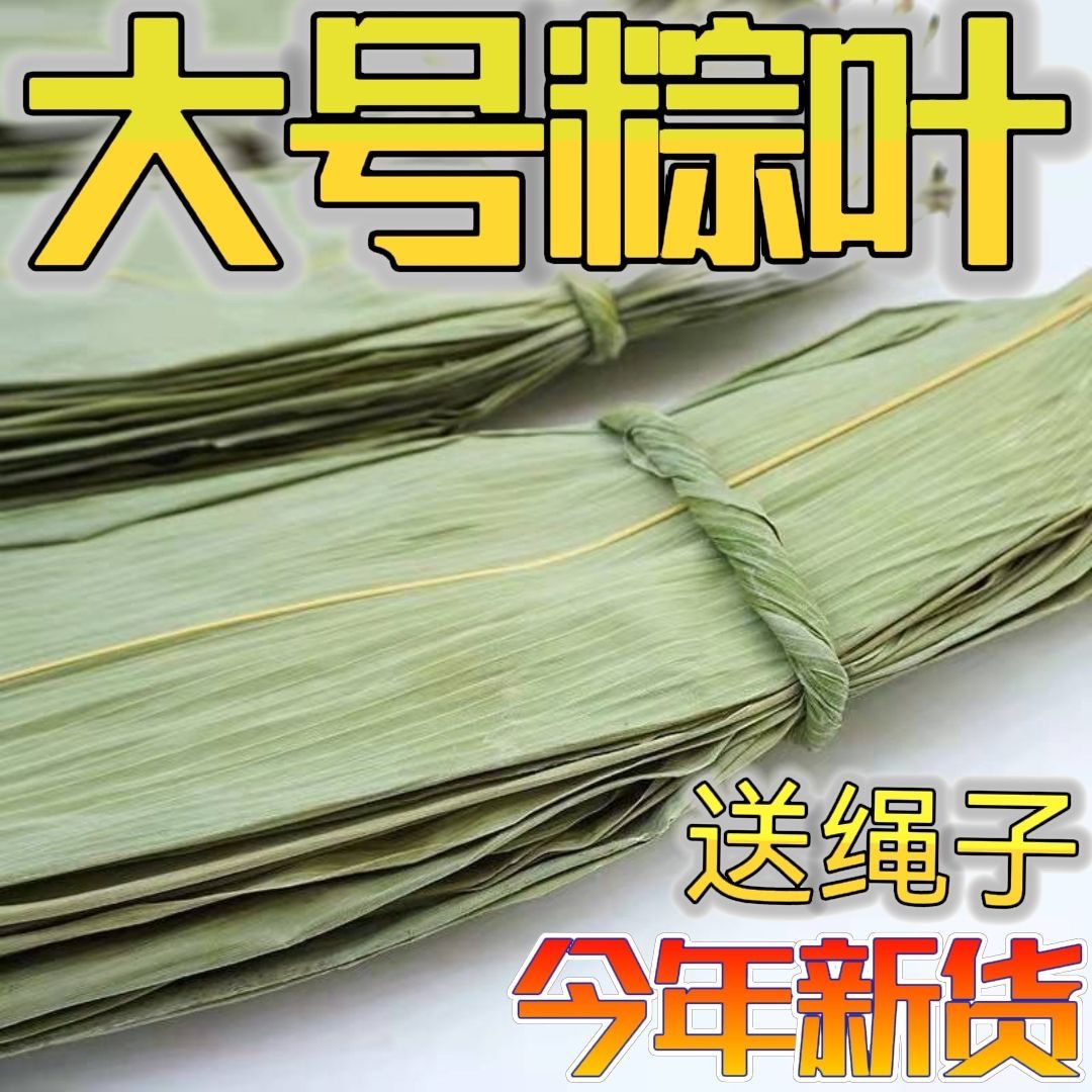 粽子叶粽叶干大号棕叶新鲜包粽子的竹叶子干粽叶商用箬叶批发材料图片