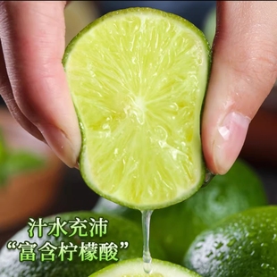 无籽青柠檬酸柠檬塔希提无核云南傣家新鲜薄皮多汁现摘露天柠檬