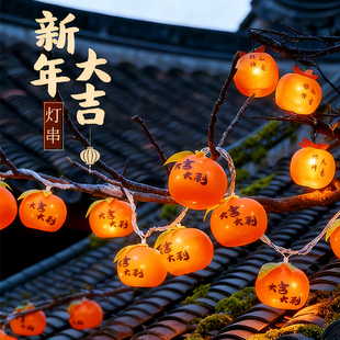新年彩灯2026春节过年柿子气氛灯福字灯笼灯串马年氛围灯装饰灯