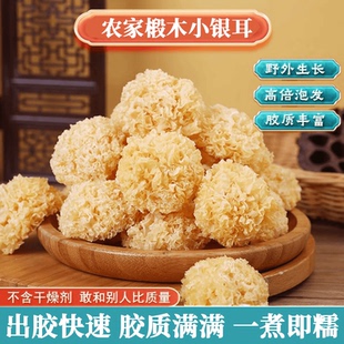 椴木小银耳古田银耳特产500g软糯出胶小朵炖煮50g莲子银耳白木耳