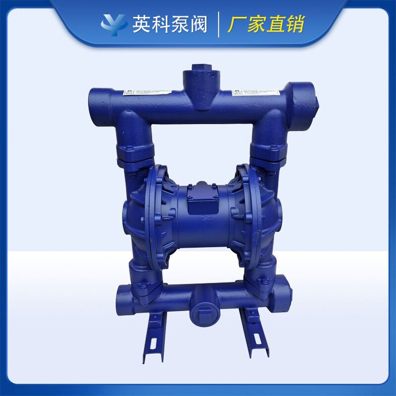 3-65铸铁气动隔膜泵小体双隔膜泵小型压滤机隔离泵永嘉瓯北