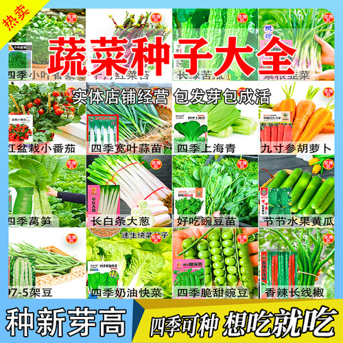 蔬菜种子菜种籽原装四季播原装彩包育种香菜小葱白菜菠菜大全种子