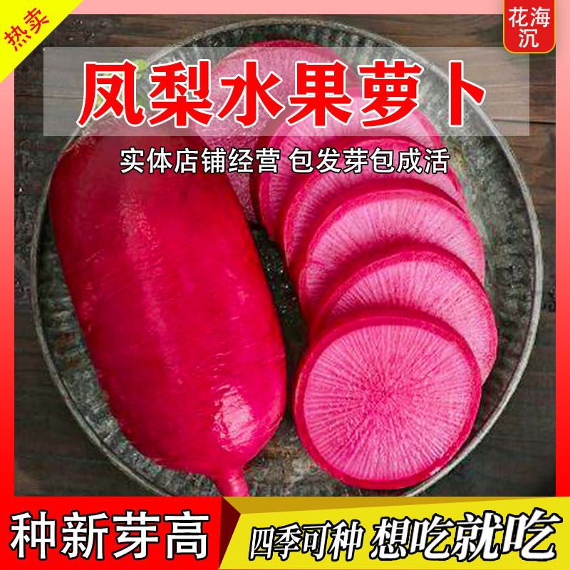 脆甜凤梨水果萝卜种子生吃紫美人萝卜四季阳台盆栽种水果萝卜种子