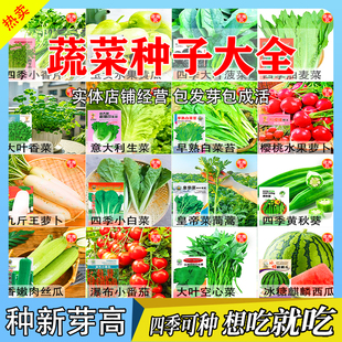 四季蔬菜种子套餐阳台盆栽萝卜小白菜青菜黄瓜瓜果种籽满2件包邮