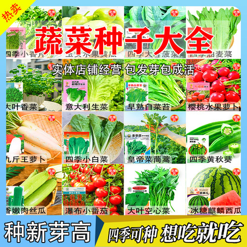叶菜种子原厂蔬菜种籽阳台盆栽大棚易成活易栽种高产种籽大全四季
