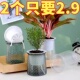 北欧塑料水培透明盆懒人自动吸水早安盆绿萝北欧简约吊兰绿植花盆
