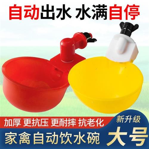 鸡用自动饮水器鸡鸭鸽子饮水碗喝水碗雏鸡鸟用饮水器鸡鹌鹑饮水器