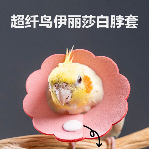 鹉小萌鹦鹉伊丽莎白圈虎皮牡丹大头鸟用防咬圈受伤保护防啄防咬毛