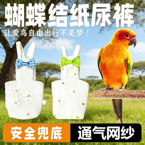 夏季新款鹦鹉尿不湿网纱设计