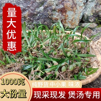 现采石橄榄新鲜双叶中小果500g石仙桃果上叶炖汤煲汤补品材料包邮