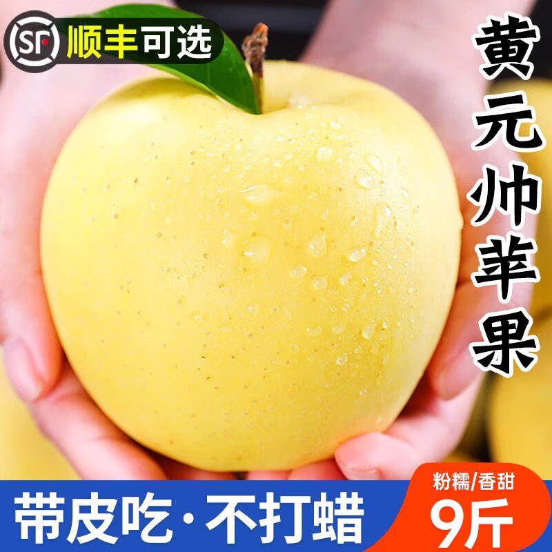 正宗黄元帅苹果粉面宝宝老人辅食果新鲜水果应当季水整箱包邮平果