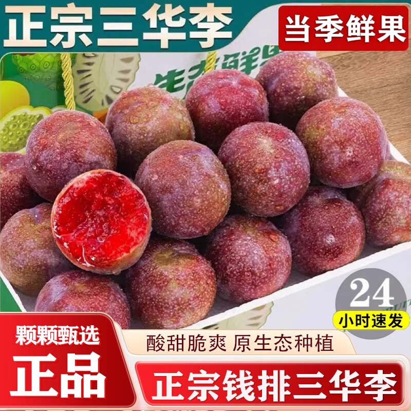 正宗恐龙蛋三华李新鲜水果红心李子孕妇酸李子现摘当季红心脆李子