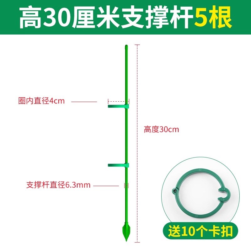 秋海棠支撑杆鳟鱼专用植物支撑杆固定器花架造型支架造型花支架图片